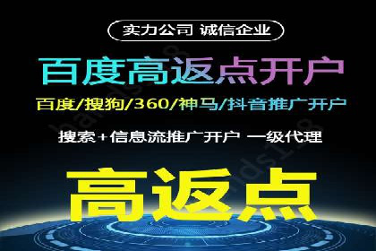 成功企业的SEM竞价优化经验与启示